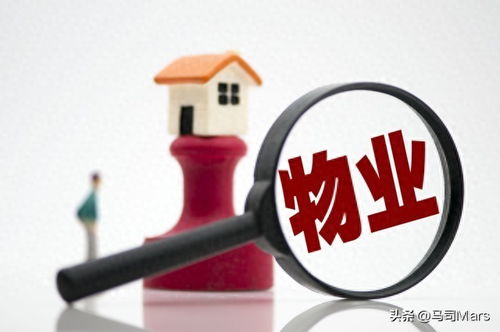 業主物業使用人應履行哪些職責 今日頭條