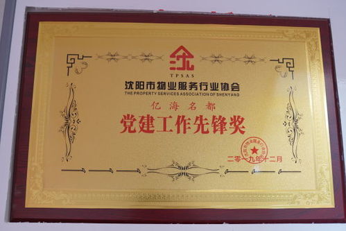 遼寧中維物業管理億海名都黨支部