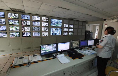 民生 區長曹金海專題調研全區物業管理工作