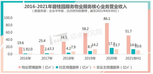 碧桂園服務：新物業時代下的品牌三甲引領者